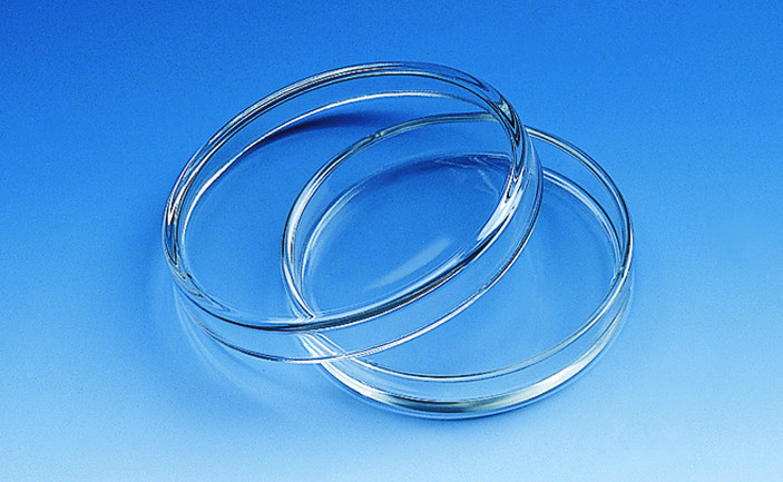 Boîte de Petri, verre de chimie, diamètre du couvercle 40 mm, hauteur de la boîte 12 mm ( X 10 )