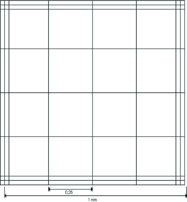 Cellule de numérotation, BLAUBRAND®, Fuchs-Rosenthal sans pinces pour lamelles