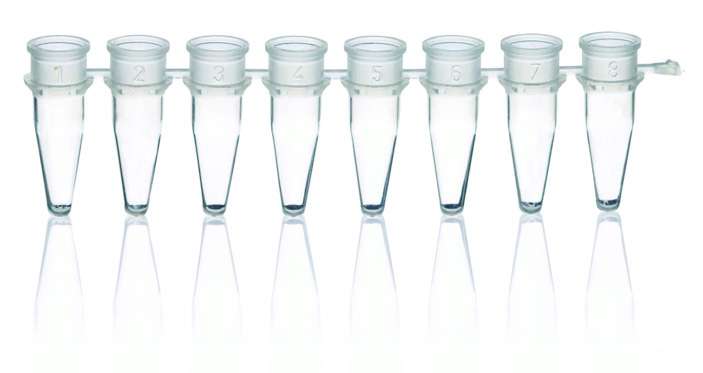 Barette de 8 tubes PCR, PP, transparent, 0,2 ml, sans bouchons ( X 125 )