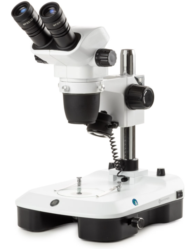 Microscope stéréoscopique, Loupe binoculaire NexiusZoom 6,7–45x, statif à colonne, éclairage LED 3 W incident et transmis