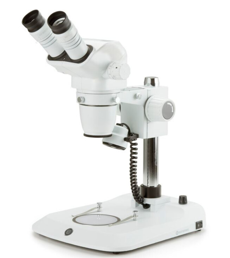 Microscope stéréoscopique, Loupe binoculaire NexiusZoom ESD 6,7–45x, statif à colonne, éclairage LED incident et transmis
