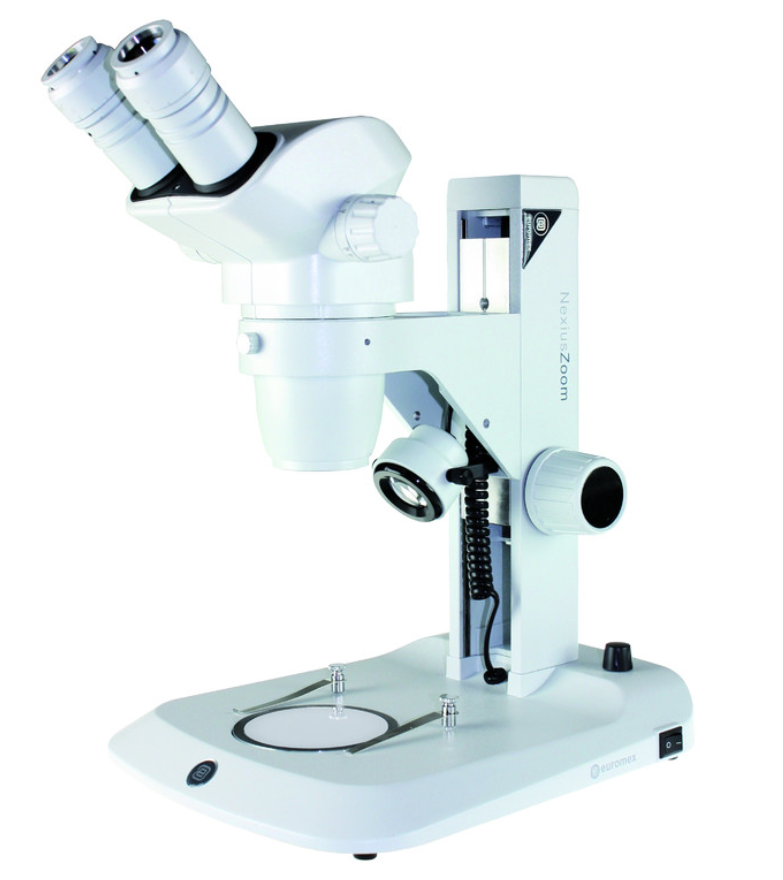 Microscope stéréoscopique, Loupe binoculaire NexiusZoom ESD 6,7–45x, statif à crémaillère, éclairage LED incident et transmis