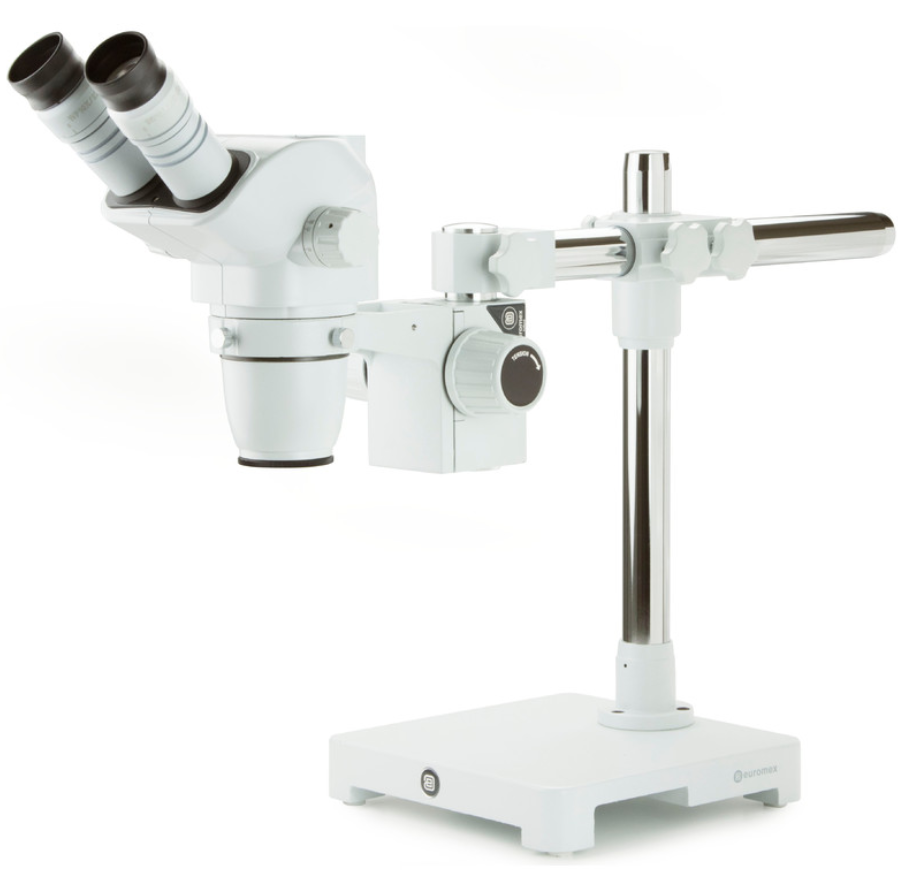 Microscope stéréoscopique, Loupe binoculaire NexiusZoom ESD 6,7–45x, statif universel à bras, sans éclairage