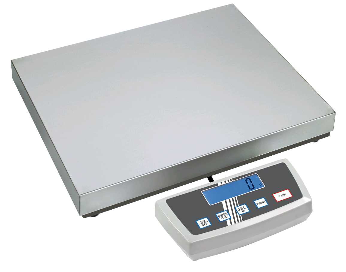 Balance industrielle - 150~300 kg / 50~100 g - Résolution évolutive - Plateau inox