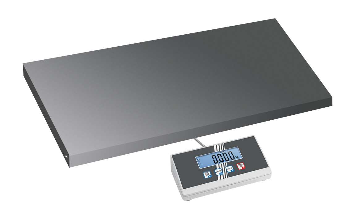 Balance industrielle - 300 kg / 100 g - Grand plateau - Plateau acier laqué