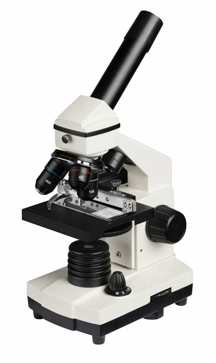 Microscope optique/numérique - Jusqu'à 1280X - Caméra USB - Eclairage inférieur
