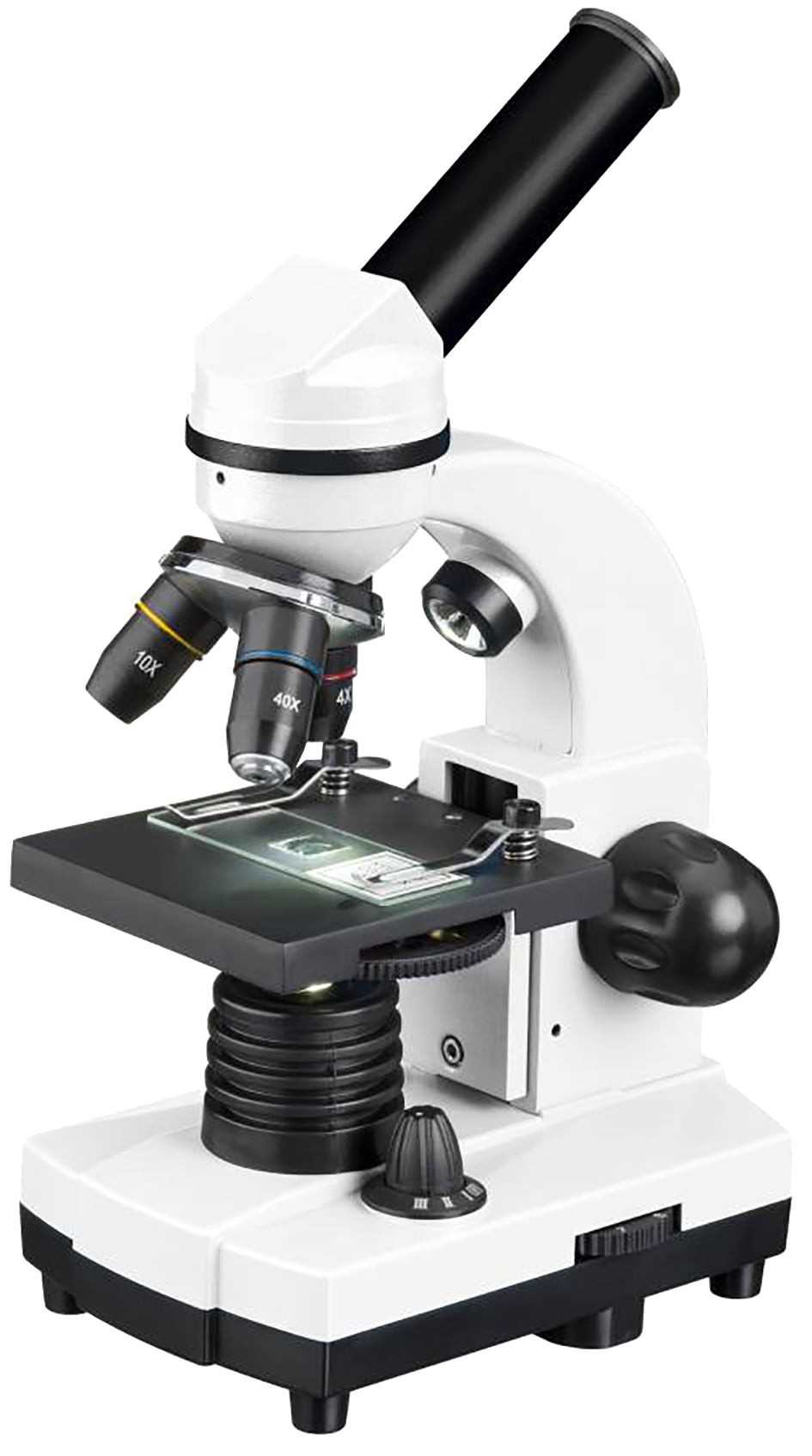 Microscope optique pédagogique - Jusqu'à 1600X - Eclairage inférieur/supérieur