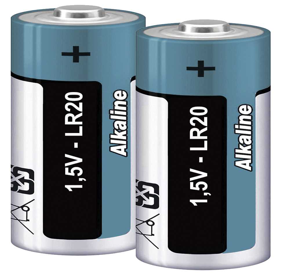 Piles bâtons alcalines LR20/D ( X 2 )