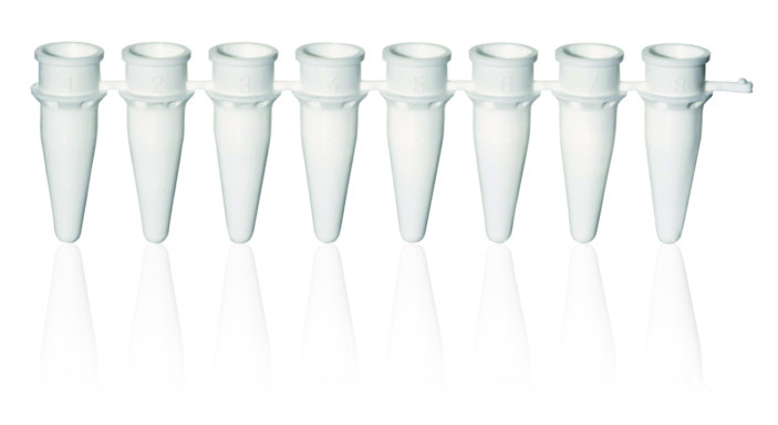 Barette de 8 tubes PCR, PP, blanc, 0,2 ml, sans bouchons, pour qPCR ( X 125 )