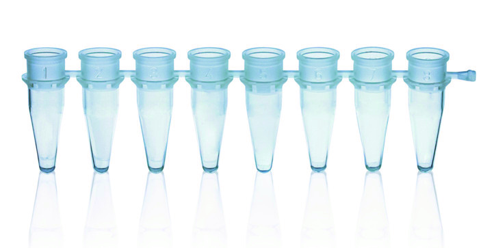 Barette de 8 tubes PCR, PP, bleu, 0,2 ml, sans bouchons ( X 125 )