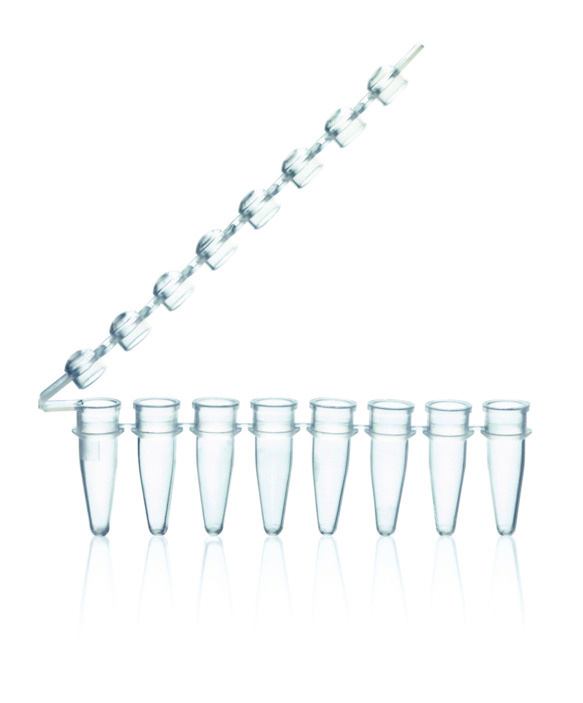 Barette de 8 tubes PCR, PP, transparent, 0,2 ml, barette de bouchons attachés ( X 125 )