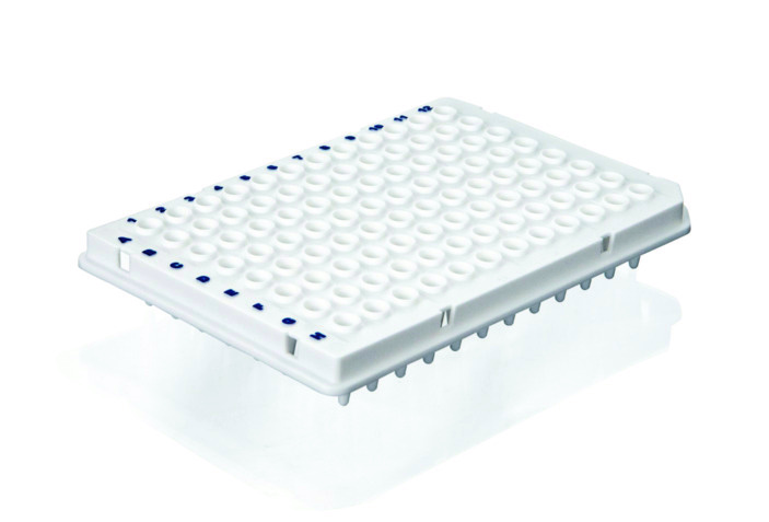Plaque PCR 96 puits, sans cadre, profil standard, bord élevé, blanc, PP ( X 50 )