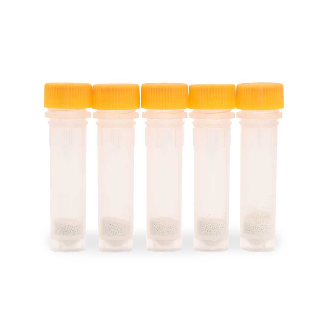 2mL, Jaune, Levure,100/boîte