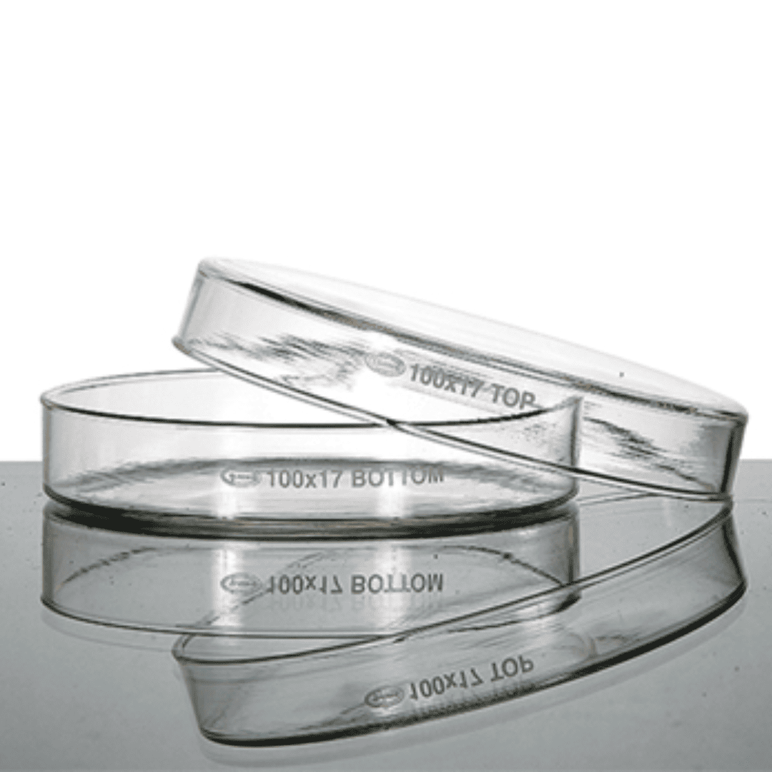 Boîte de Pétri 150 mm, borosilicate Le lot de 10